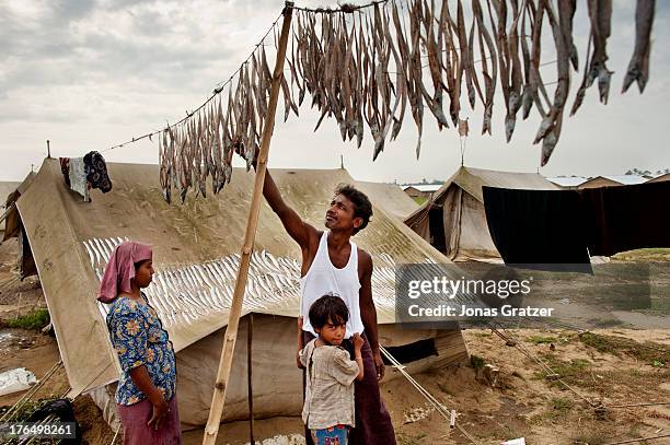 Rohingya man drys a large number of fish as a supply for the IDP refugee camps of Sittwe. Sittwe now has over 125,000 people who are isolated after...