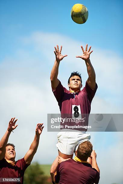 Leaping Trys Rugby Rugby Player Leaping Up To Catch Ball Photos and Premium High Res ...