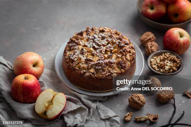 homemade cake with apples and walnuts - walnut cake stock pictures, royalty-free photos & images