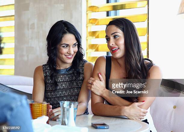 Total Diva Nikki Bella and WWE Total Diva Brie Bella celebrate SummerSlam at the London West Hollywood on August 14, 2013 in West Hollywood,...