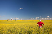 Middle Aged Caucasian Farmer Standing in Yellow Canola Field