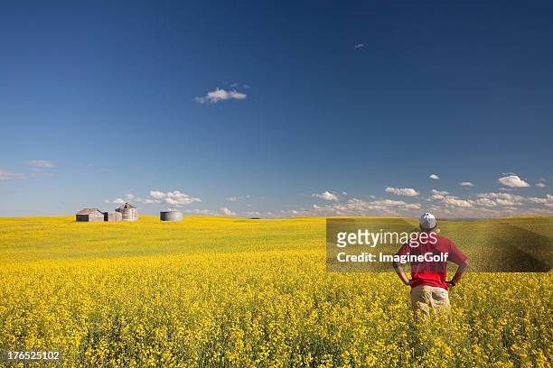 middle aged caucasian farmer standing in yellow canola field - saskatchewan prairie stock pictures, royalty-free photos & images