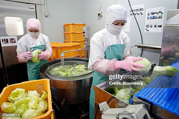 Employees clean heads of lettuce to use as a filling in sandwiches, for Seven & I Holdings Co.'s 7-Eleven convenience stores, in the processing...