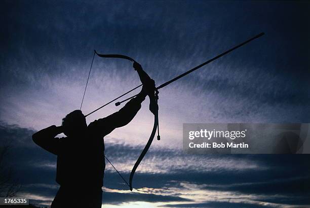 Archer taking aim, silhouetted at dusk, low angle view