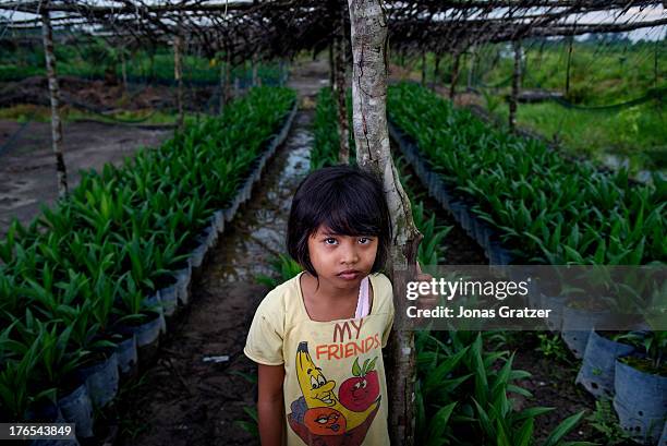 Raya stands infront of a plantation zone where younger palm trees are nursed until they are ready to be relocated into the larger plantations. A...