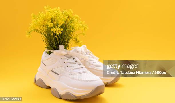 close-up of yellow flower in white shoes against yellow background - editorial template stock pictures, royalty-free photos & images