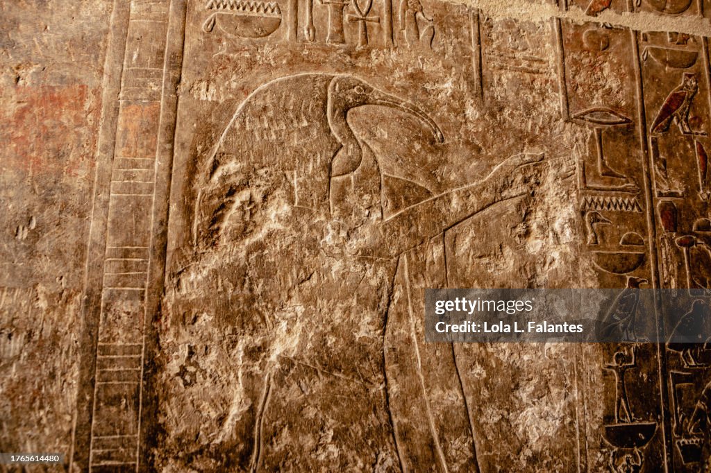 Egyptian bas-relief depicting the god Thoth. Funerary temple of Queen Hatshepsut, Egit