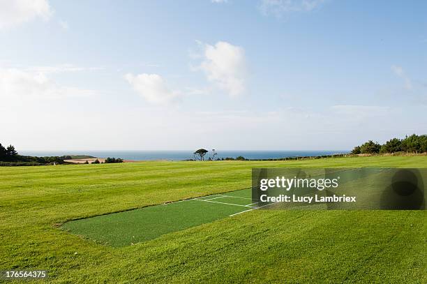 cricket pitch - terrain-de-cricket photos et images de collection