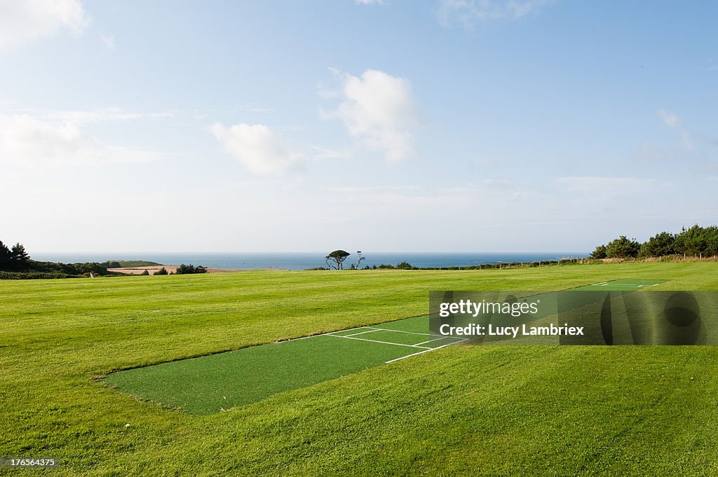 Cricket pitch