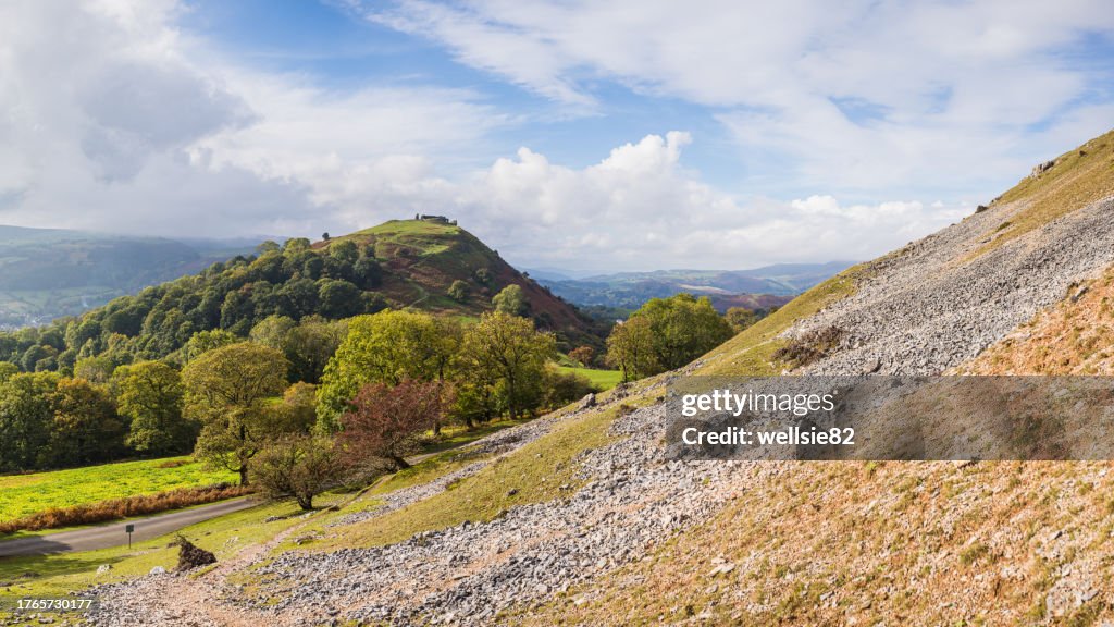 Slopes around Castell Dinas Bran