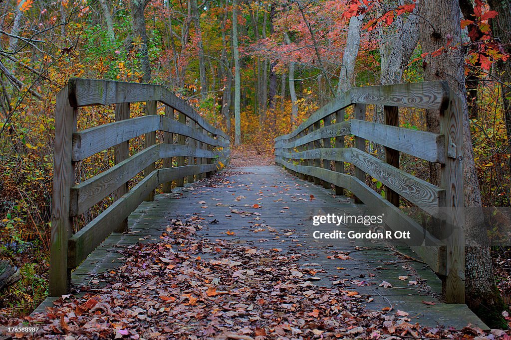 Autumn Foot Bridge