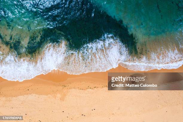 beach aerial, mona vale, sydney, australia - sydney ocean drone stockfoto's en -beelden