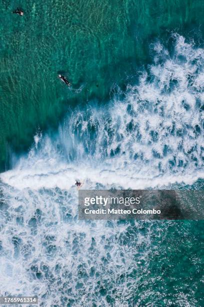 aerial of surfers in sydney, australia - sydney ocean drone stockfoto's en -beelden