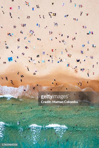 bondi beach aerial, with people sunbathing - sydney from above stock pictures, royalty-free photos & images