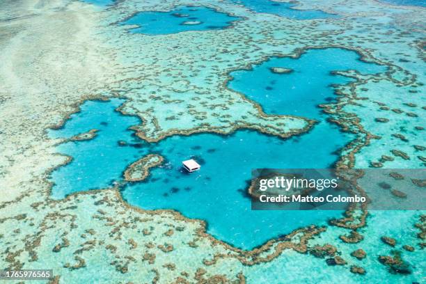 aerial view of hardy reef, great barrier reef, australia - hardy reef stockfoto's en -beelden