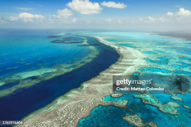 aerial view of the river, great barrier reef marine park - hardy reef stockfoto's en -beelden