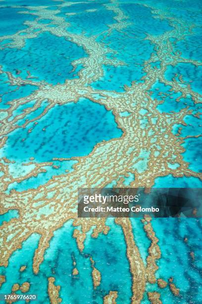 aerial view of reef formations, great barrier reef, australia - hardy reef stockfoto's en -beelden