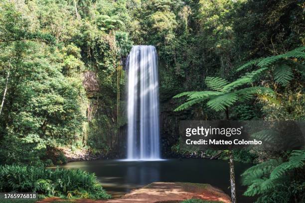 millaa millaa waterfall, queensland, australia - chutes millaa millaa photos et images de collection