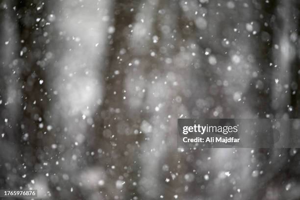 Snowfall Transparent Background Photos and Premium High Res Pictures ...
