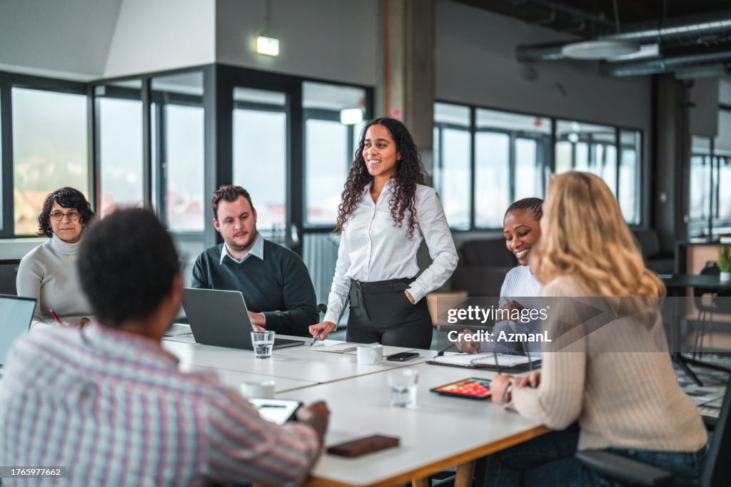 Big Group Of Mixed Race Business People Are Discussing a New Project