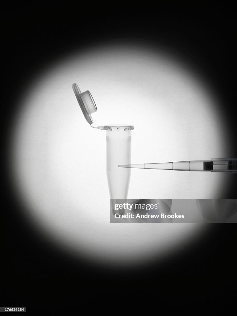 Pipette and eppendorf test tube