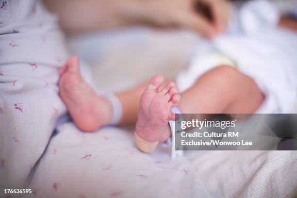 newborn baby girl with identity tag on feet, close up - name tag bildbanksfoton och bilder