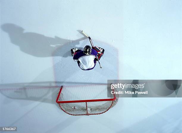 Ice Rink Overhead Photos and Premium High Res Pictures - Getty Images