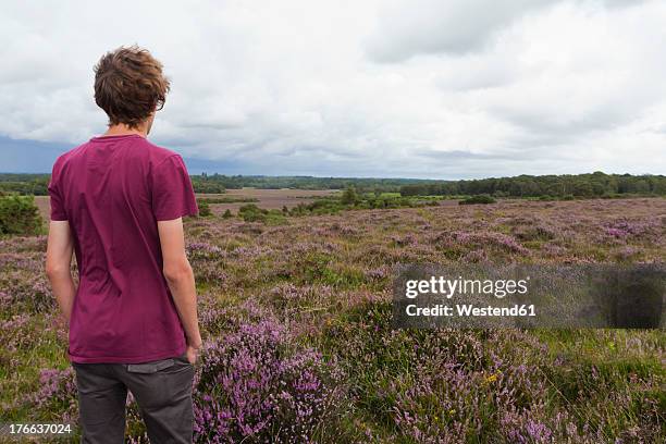 england, hampshire, teenage boy standing in new forest national park - erica cinerea stock pictures, royalty-free photos & images
