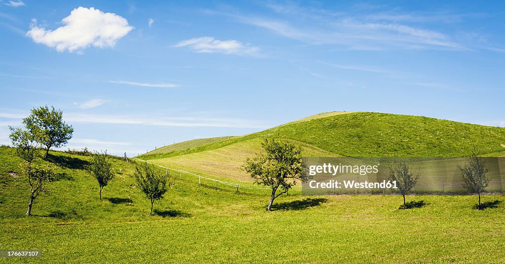 Austria, Landscape of small trees against blue sky at Mondsee