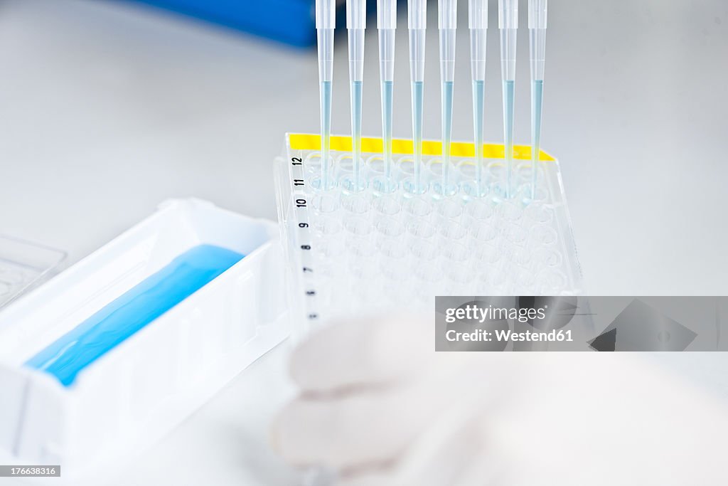 Germany, Human hand pipetting blue liquid into 96 well plate