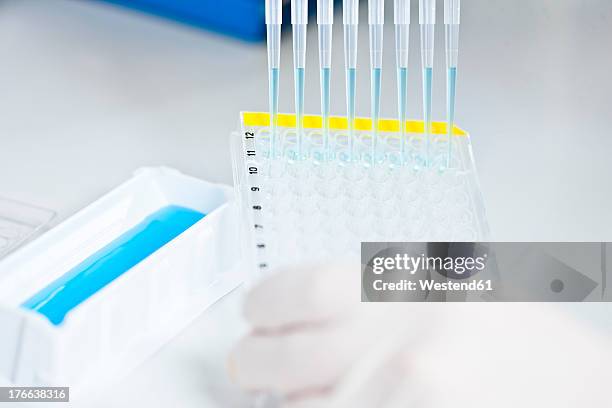germany, human hand pipetting blue liquid into 96 well plate - 96 well plate stock pictures, royalty-free photos & images