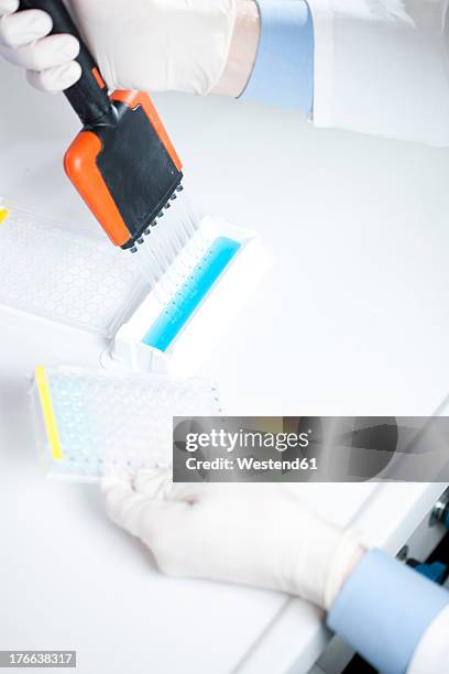 germany, human hand pipetting blue liquid into 96 well plate - 96 well plate stock pictures, royalty-free photos & images