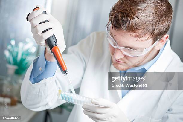 germany, young scientist pipetting blue liquid into 96 well plate - 96 well plate stock pictures, royalty-free photos & images
