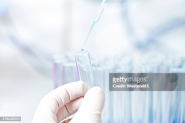 germany, human hand pipetting blue liquid into test tubes - test tube stock pictures, royalty-free photos & images