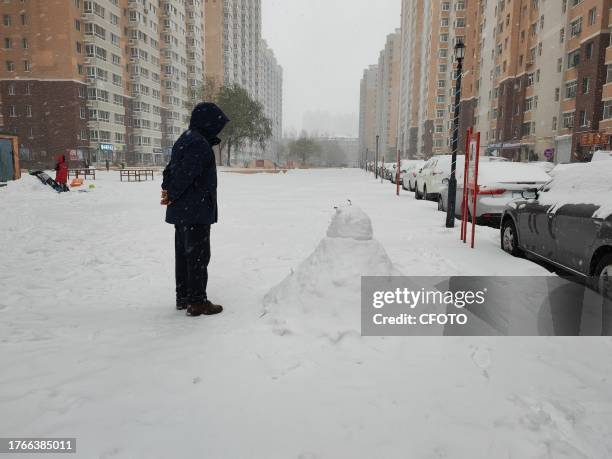 View of the first snowstorm of 2023 in Harbin, Heilongjiang Province, China, November 6, 2023.