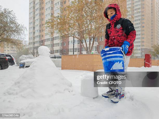 View of the first snowstorm of 2023 in Harbin, Heilongjiang Province, China, November 6, 2023.