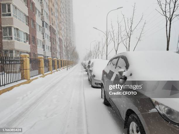 View of the first snowstorm of 2023 in Harbin, Heilongjiang Province, China, November 6, 2023.