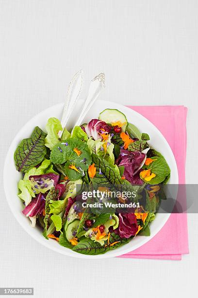 bowl of fresh salad on white background, close up - ensalada verde fotografías e imágenes de stock