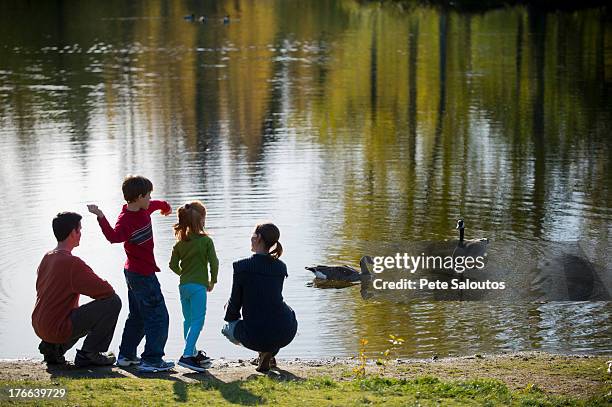family in park feeding ducks - sisters feeding stockfoto's en -beelden