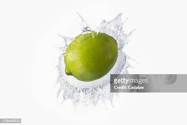 lime splashing in liquid - cadalpe stock pictures, royalty-free photos & images