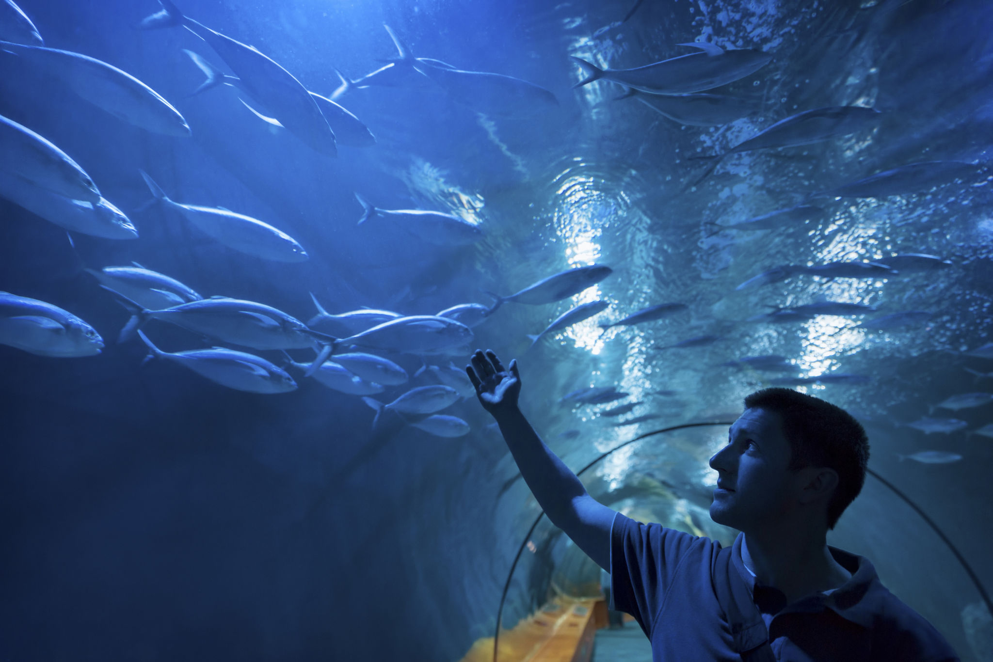 grand aquarium