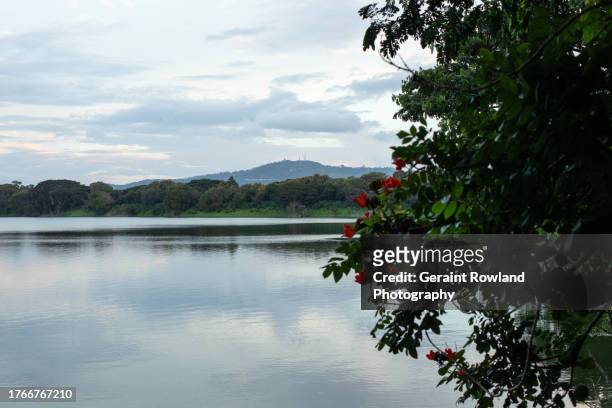 kukkarahalli lake, mysore, india - mysore stock pictures, royalty-free photos & images