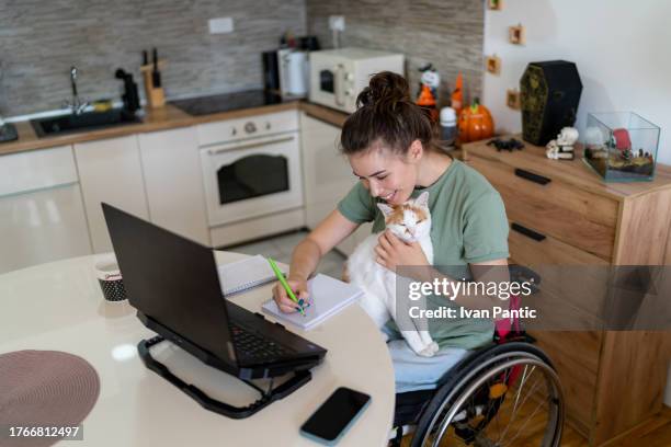 it's easier to work with a pet at home! - accessibility for persons with disabilities stock pictures, royalty-free photos & images