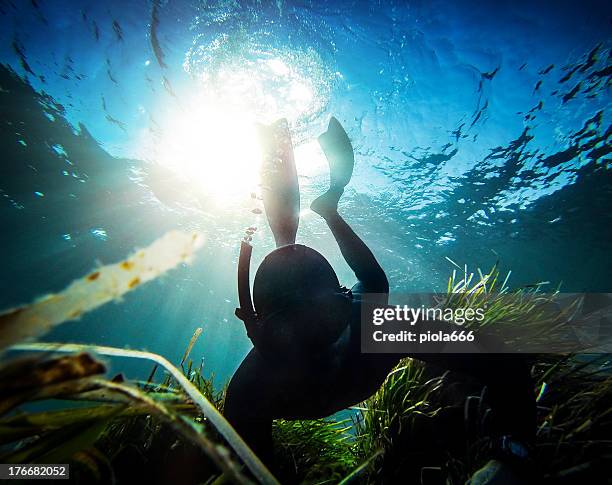 free diver spearfishing in the abyss - man spear fishing stock pictures, royalty-free photos & images