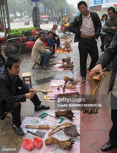 [UNVERIFIED CONTENT] FURTIVOS CON GARRAS Y PENES DE TIGRE EN PLENA CALLE.