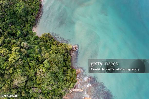 drone of view of dalit beach and jungle - kota kinabalu beach stock pictures, royalty-free photos & images