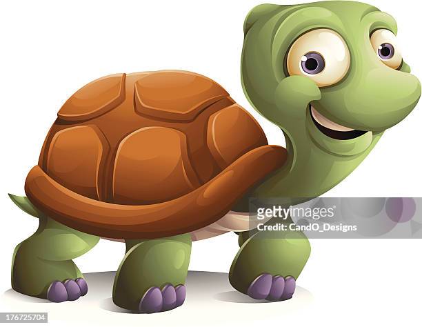 65 Slow Turtle Cartoon High Res Illustrations - Getty Images
