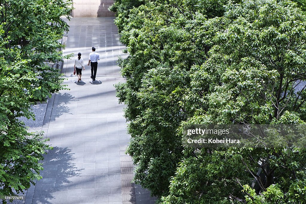 Business district and green