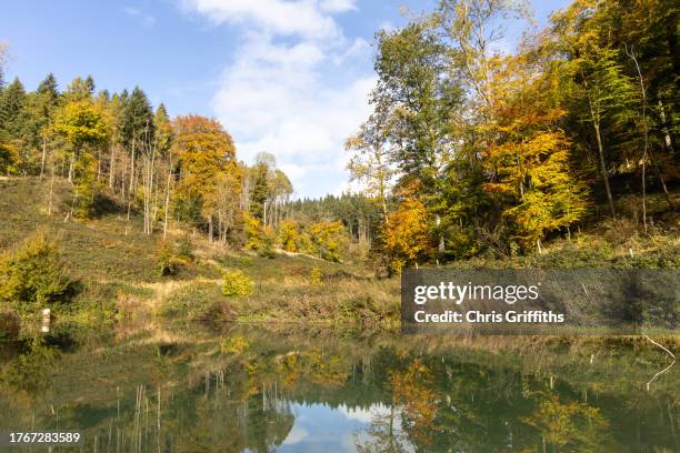 fishpool valley, bircher common, leominster, herefordshire, england, united kingdom - reflection pool stock pictures, royalty-free photos & images