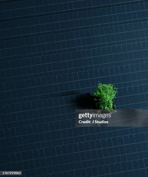 solar farm - energieerzeugung stock-fotos und bilder